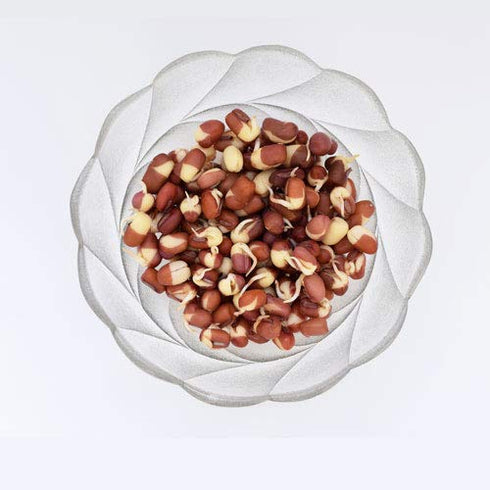 3-Bean 16 Oz Nature Jim's Sprouts Seed Mix - Organic Green Peas, Lentils & Adzuki Beans for Planting - Non-GMO