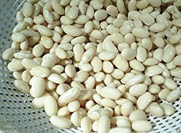 NAVY BEAN SEEDS, 200 Seeds