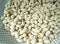 NAVY BEAN SEEDS, 200 Seeds