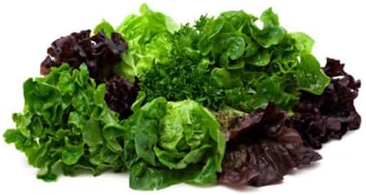 Harley Seeds 1000 20 Packaged Lettuce Mix Seeds Please Read This is A Mix Varieties Heirloom Non-GMO. Seeds are not