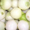 500 CRYSTAL WHITE WAX PEARL ONION Allium Cepa Vegetable Seeds