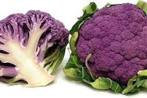 NIKA SEEDS 100 Seeds Vegetable Cauliflower Purple Cabbage - Seeds