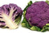 NIKA SEEDS 100 Seeds Vegetable Cauliflower Purple Cabbage - Seeds
