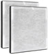 Replacement Filter 2-Pack for PureZone Pure Enrichment 3-in-1 Air H13 Grade True HEPA Purifier, Part No PEAIRFIL