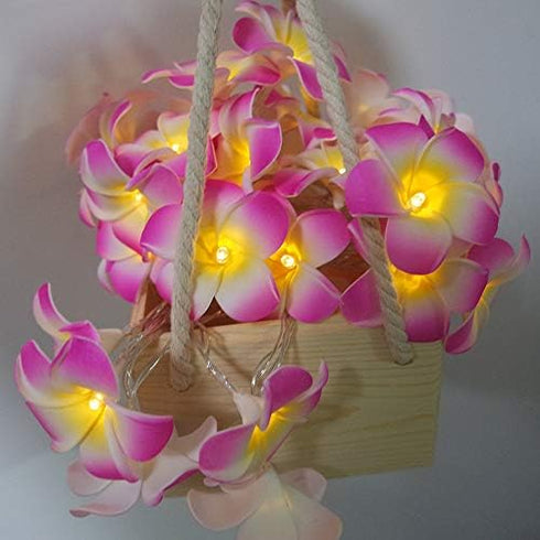 Lxcom Lighting Plumeria Flower String Lights 20LED Battery Powered Fairy Lights for Christmas Party Home Wedding
