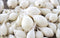 Starting Gardens White Onion Sets, 60-80 Bulbs