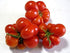 Reisetomate 20 Tomato Travel Voyage Seeds for Planting About Seeds