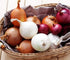 NIKA SEEDS 500 Seeds Vegetable Onion Rainbow Mix Neutral - Seeds