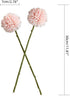 Artificial Chrysanthemum Ball Flowers Bouquet 10pcs Champagne for Home Office Parties and Wedding