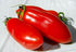 Harley Seeds 30 Italian San Marzano Paste Tomato Seeds, Heirloom Non-GMO, Indeterminate, Open-Pollinated, Productive