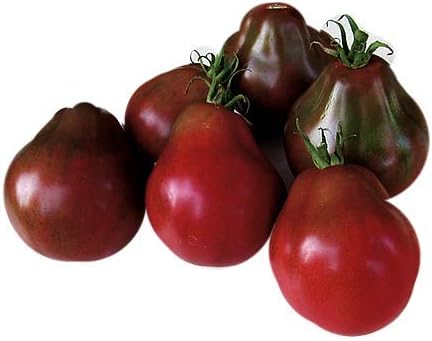 SeedsUA Seeds Tomato Black Truffle Vegetable Garden Heirloom for Planting Non GMO