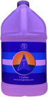 Premium pH Up Solution - Corrects pH Imbalances, Maximizes Nutrient Absorption, Prevents