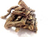 Yogi's Gift Sacred Ayurvedic Loose Herbs | Calamus Root 1 lb | Vacha/Sweet Flag Whole Root - Naturally Dried