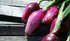 NIKA SEEDS 300 Seeds Vegetable Welsh Onion Red - Seeds