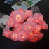 6cm (6.6ft 20LED, Fantasee LED Pink Rose Flower String Lights Battery Operated for Wedding Home Party Birthday Festival