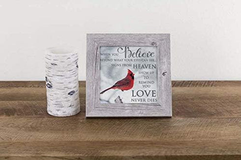 Summer Snow Cardinal Sympathy Picture | When You Believe Beyond What Your Eyes Can See | SS6848 - Framed Glittered