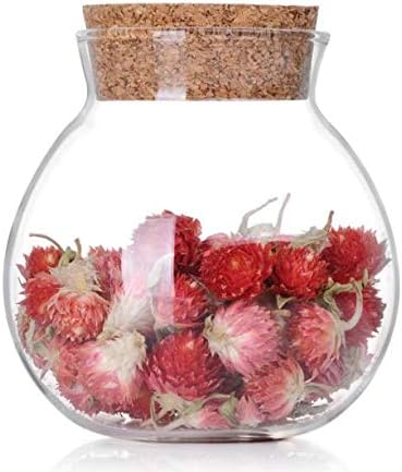 1PCS 500ML/17OZ Glass Favor Jars with Cork Lids, Transparent Round Food Storage Bottles for Kitchen
