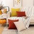 Woaboy Set of 2 Burnt Orange Outdoor Waterproof Throw Pillow Covers, Decorative Farmhouse Cushion Cases, 16x16 Inch