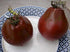 SeedsUA Seeds Tomato Black Truffle Vegetable Garden Heirloom for Planting Non GMO