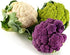 NIKA SEEDS 200 Seeds Vegetable Cauliflower Cabbage Mix - Seeds