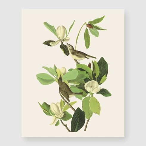 Bestbuddy Set of 4 Unframed Robin Birds Botanical Prints - Antique Tropical Birds Flowers Illustration Wall Art