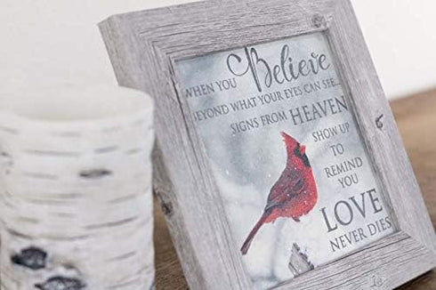Summer Snow Cardinal Sympathy Picture | When You Believe Beyond What Your Eyes Can See | SS6848 - Framed Glittered