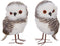 Raz Set of Two Assorted Furry Owls, Brown and White