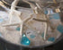 Tumbler Home Sand Dollars and Starfish for Crafts - 3 Real Starfish (4"-6") and 3 Sand Dollars (3"-3.5") in Bulk