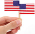 CYPS 100 Pcs USA American Flag Toothpick Flags, Small Mini Stick Cupcake Toppers, 4th of July, Veterans Day Party