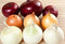 NIKA SEEDS Seeds Vegetable Onion Rainbow Mix Neutral - 500 Seeds