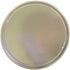 Lenrius Vintage Donuts Freshly Made Round Tin Sign, 12x12 in, Home Kitchen Coffee Office Art, Pink