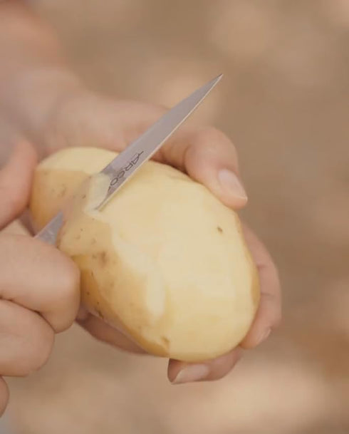 Arcos 4 Inch 100mm Forged Paring Knife Stainless Steel. Sharp Kitchen Knife for Peeling Fruits and Vegetables.