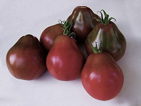 SeedsUA Seeds Tomato Black Truffle Vegetable Garden Heirloom for Planting Non GMO
