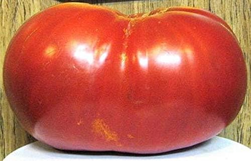 Tomato Big Zac Seeds- Six Pounders
