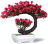 8.5" Fake Plants Small Artificial Bonsai Tree for Home Decor Living Room Bathroom Bookshelf Entryway Table Wall Shelf