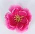 Rikyo 100 Artificial Silk Cherry Blossom Flower Heads Spring Fake Plum Blossom Peach Blossom,Vase Fillers,Corsages