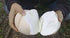 CEMEHA SEEDS Giant Puffball Mushrooms Non GMO for Planting Mycelium Spawn Spores