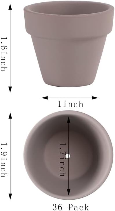 Yishang 1.9 Inch Tiny Grey Terracotta Pots, Pack of 36 Mini White Clay Pots with Drainage Holes