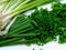 Liliana's Garden Scallion Kyoto Kujo Negi Bunching Onion - Resilient Green Onion Variety |