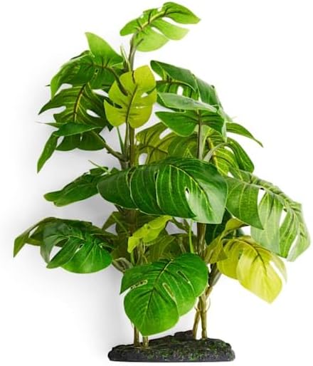 imagitarium by Petco Small Araceae Plant Terrarium Decor