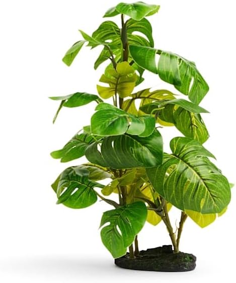 imagitarium by Petco Small Araceae Plant Terrarium Decor