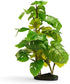 imagitarium by Petco Small Araceae Plant Terrarium Decor