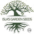 100+ Rutgers Tomato Seeds (Solanum lycopersicum) Non GMO & Heirloom Seeds, Balanced Flavor All Purpose Tomato Variety