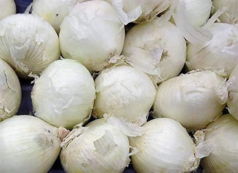 White Sweet Spanish Onion Seeds - 500+ Non-GMO Heirloom Seeds by Isla’s Garden, Ideal for Slicing & Cooking