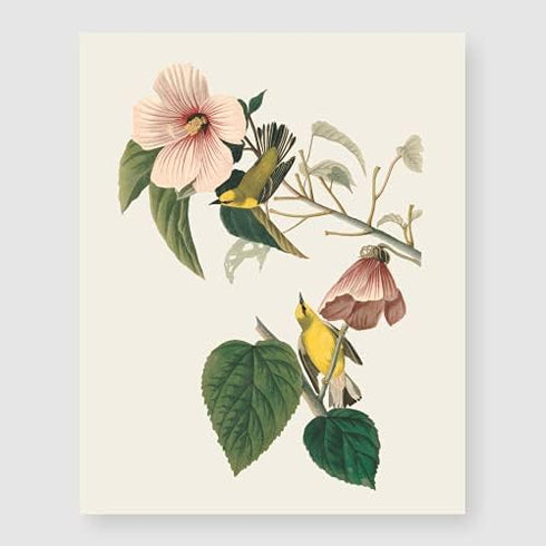 Bestbuddy Set of 4 Unframed Robin Birds Botanical Prints - Antique Tropical Birds Flowers Illustration Wall Art