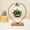 Archi Ornament Display Stand Iron Pothook Stand for Hanging Glass Terrarium/Picture with Wood