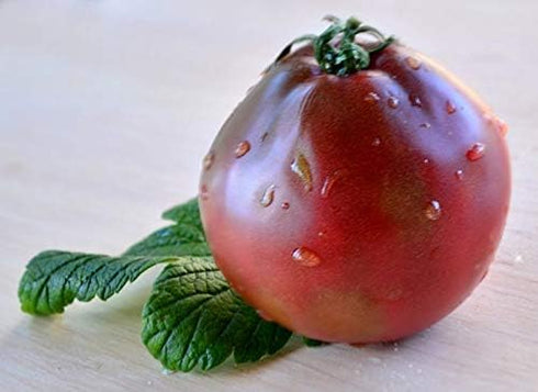 SeedsUA Seeds Tomato Black Truffle Vegetable Garden Heirloom for Planting Non GMO