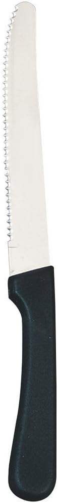 Round Tip Steak Knife with Plastic Handle - 5 Inch Blade - 12 per Case
