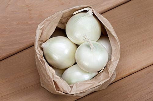 SeedsUA Seeds Onion White Queen Giant Heirloom Vegetable for Planting Non GMO
