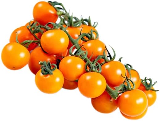 HipGirl 10ct Sweet Orange Sun Gold Cherry Tomato Seeds for Planting.Non GMO Garden